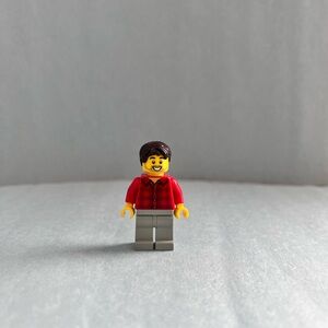 LEGO Ideas Rob the Fan Designer Minifigure